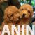 1.viber_image_2021-07-10_16-23-13-592