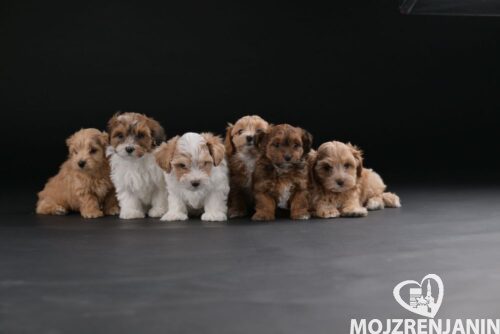 0d6dd8fff-112b-4776-94fb-214e5ddb289a 0d6dd8fff-112b-4776-94fb-214e5ddb289a