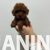 toy pudle 05.jpeg toy pudle 05.jpeg