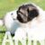 viber_image_2026-04-08_11-49-46-134