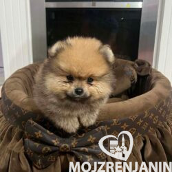 1Messenger_creation_41A4AA40-4512-405D-8CA1-85BF2AF41B5D
