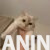 viber_image_2026-05-18_18-04-52-281 viber_image_2026-05-18_18-04-52-281