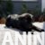 4 canecorsoZP0526 4 canecorsoZP0526
