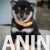 viber_image_2026-05-17_21-06-20-765 viber_image_2026-05-17_21-06-20-765