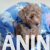 viber_image_2026-05-10_13-26-38-110-768x1024 viber_image_2026-05-10_13-26-38-110-768x1024