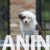 viber_image_2026-05-08_17-45-51-680 viber_image_2026-05-08_17-45-51-680