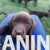 4labradorG0526