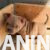 American bully 04 American bully 04