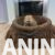 Messenger_creation_4CA2E5FE-F1F6-4305-9F74-64A264D0DBBF Messenger_creation_4CA2E5FE-F1F6-4305-9F74-64A264D0DBBF