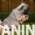 viber_image_2026-04-23_13-36-07-878-900x1024-1 viber_image_2026-04-23_13-36-07-878-900x1024-1