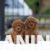 viber_image_2026-06-29_15-59-59-733 viber_image_2026-06-29_15-59-59-733