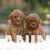 viber_image_2026-06-29_16-00-00-346