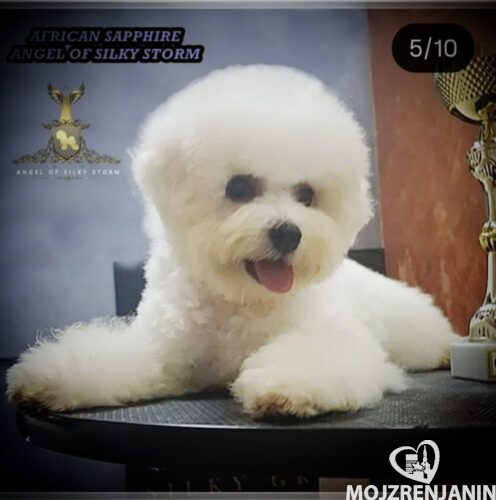 viber_image_2026-07-29_11-28-16-533 viber_image_2026-07-29_11-28-16-533