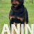 3viber_image_2026-07-15_15-01-17-038 3viber_image_2026-07-15_15-01-17-038
