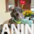 viber_image_2026-08-18_22-50-18-592