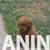 pudle 02 pudle 02
