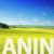 tmb-300x300-156087380_64eb78a7b94d14-08375733oilseed-rape-fi