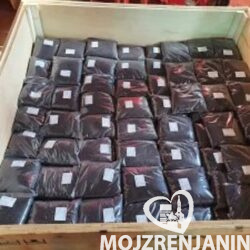1tmb-300x300-156087380_64fa09795ec924-2244272420230907_161201