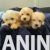 viber_image_2026-08-18_16-58-47-474 viber_image_2026-08-18_16-58-47-474