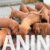 fdgf