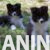 viber_image_2026-08-04_14-59-06-668 viber_image_2026-08-04_14-59-06-668