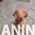 WhatsApp Image 2026-08-26 at 19.56.28 (5)