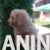 viber_image_2026-08-01_12-24-31-170 viber_image_2026-08-01_12-24-31-170