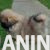 viber_image_2026-08-26_12-46-34-138 viber_image_2026-08-26_12-46-34-138