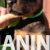 9 dobermanM0826