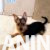 viber_slika_2026-09-02_18-51-57-813