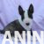 viber_image_2025-06-19_14-52-02-811 viber_image_2025-06-19_14-52-02-811