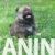 viber_image_2026-09-22_19-15-57-326 viber_image_2026-09-22_19-15-57-326