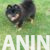 viber_image_2026-10-19_11-27-47-329 viber_image_2026-10-19_11-27-47-329