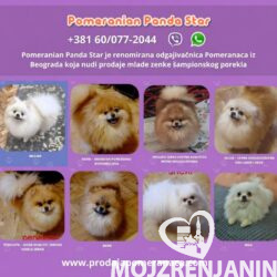 viber_image_2026-09-29_14-16-39-492