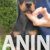 5 dobermanM0826 5 dobermanM0826