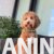 3 Labradoodle F1bOL1026 3 Labradoodle F1bOL1026